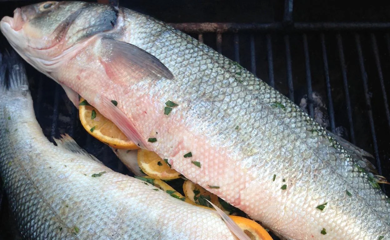 Lubina Un Pescado Muy Especial El Norte De Castilla